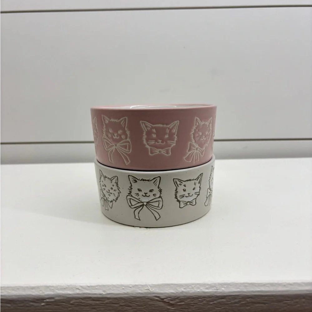 Cat Dishes